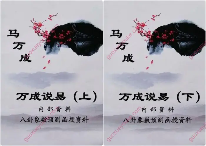 万成说易