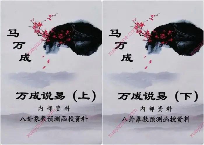 万成说易