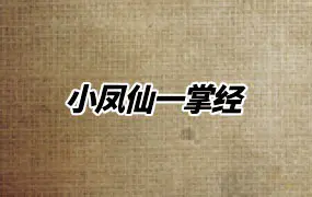小凤仙一掌经 视频30集+笔记 百度网盘分享