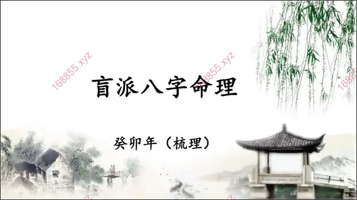 崔文举 2023年盲派八字笔记