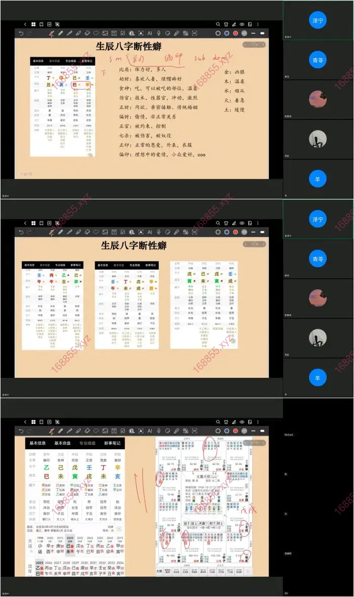 张泽宁 下三路资料