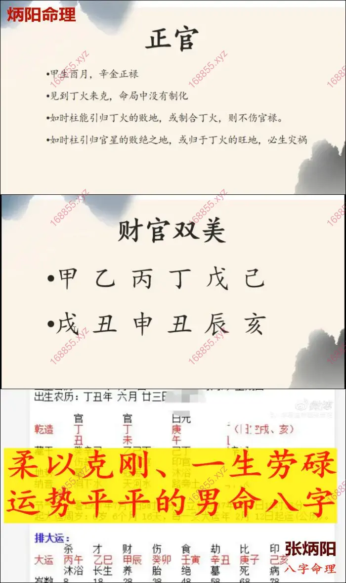 张炳阳 八字命理