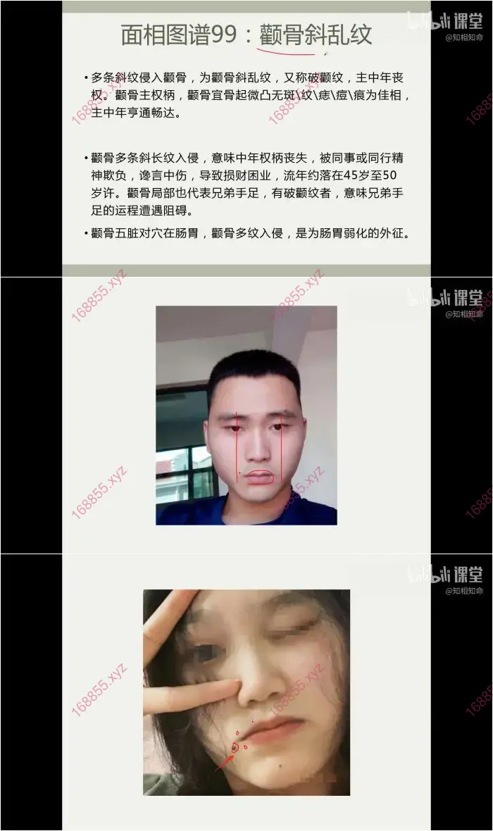 手相面相图谱课程