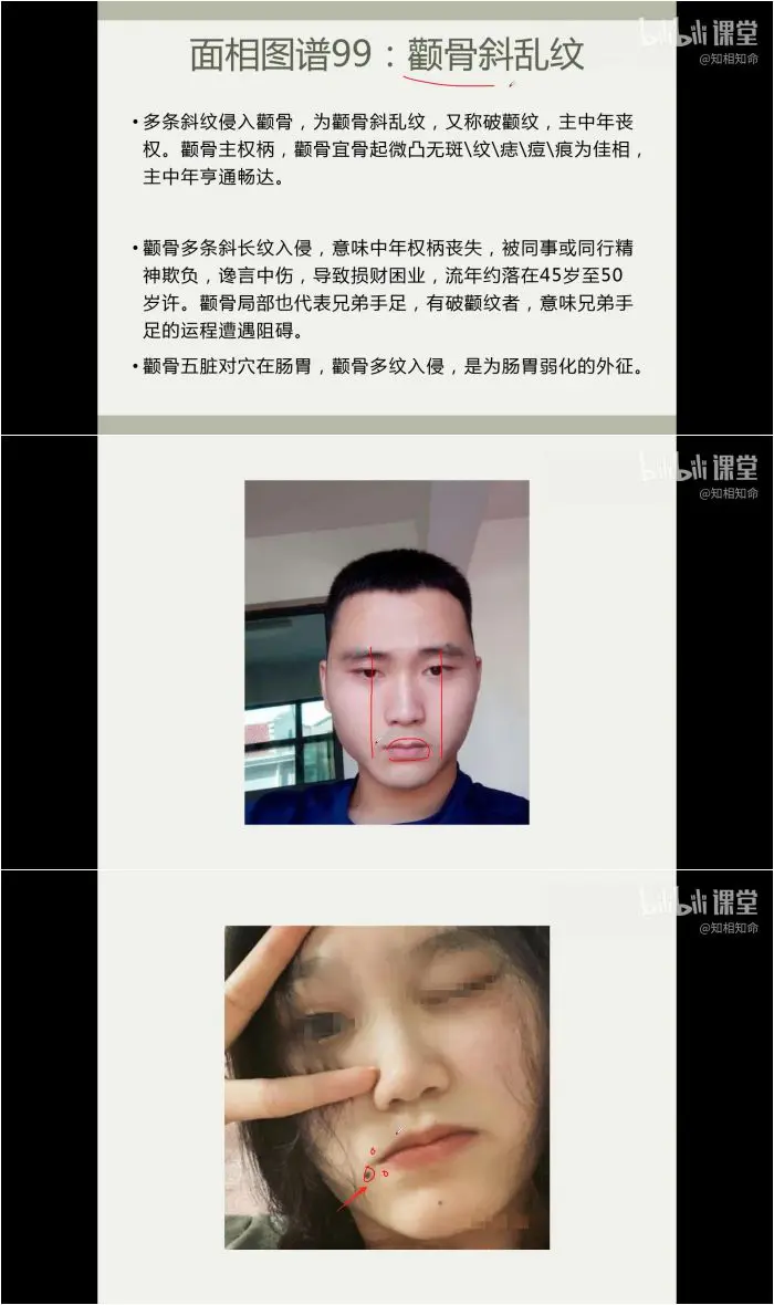 手相图谱222例+面相图谱304例 视频260集 手相面相图谱课程
