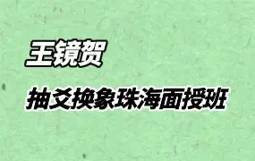 王镜贺 抽爻换象珠海面授班 视频27集 百度网盘分享