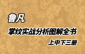 掌纹实战分析图解全书 鲁凡著 PDF 3册 共918页 百度网盘分享