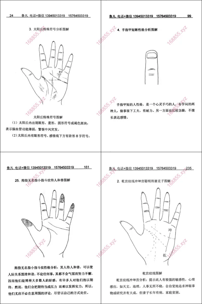掌纹实战图解全书