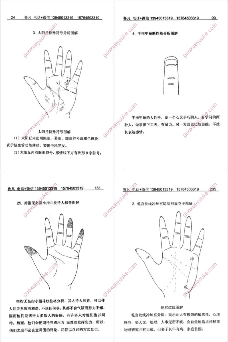 掌纹实战分析图解全书