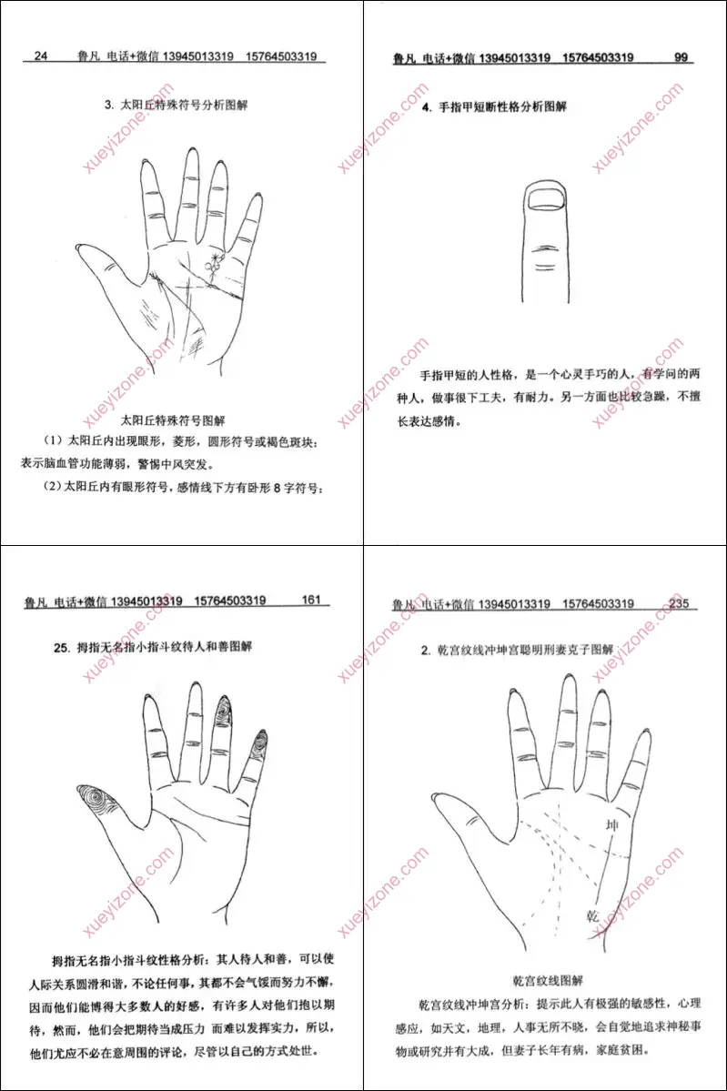 掌纹实战图解全书