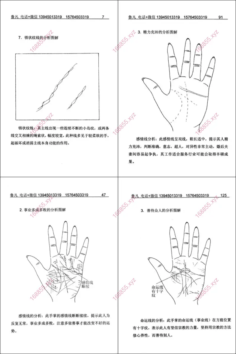 掌纹实战图解全书