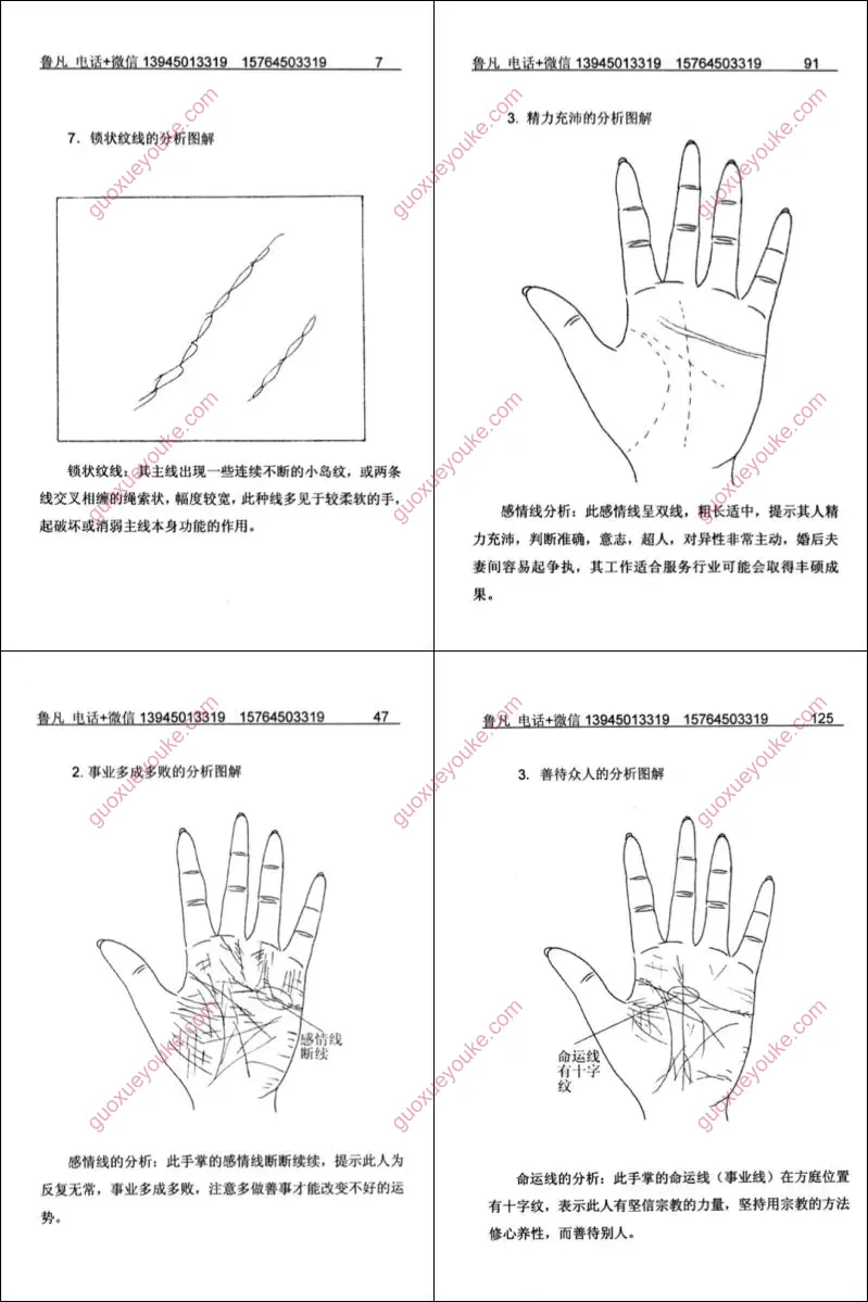 掌纹实战分析图解全书