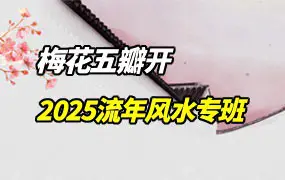 梅花五瓣开 2025流年风水专班 视频13集 百度网盘分享