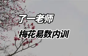 了一老师 梅花易数内训 视频56集 百度网盘分享