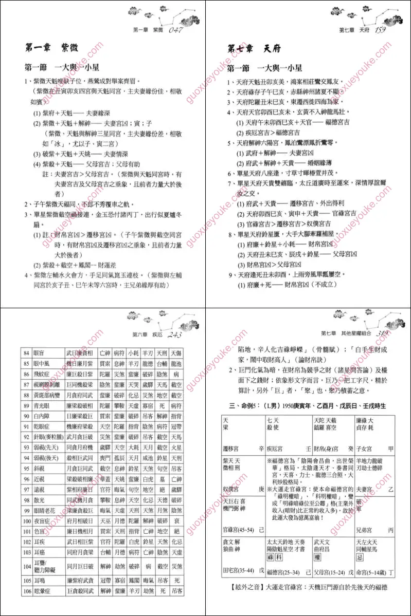 玄秘紫微斗数-命理字典八千招