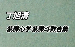 丁旭清 紫微心学 紫微斗数合集（视频+录音+资料）百度网盘分享