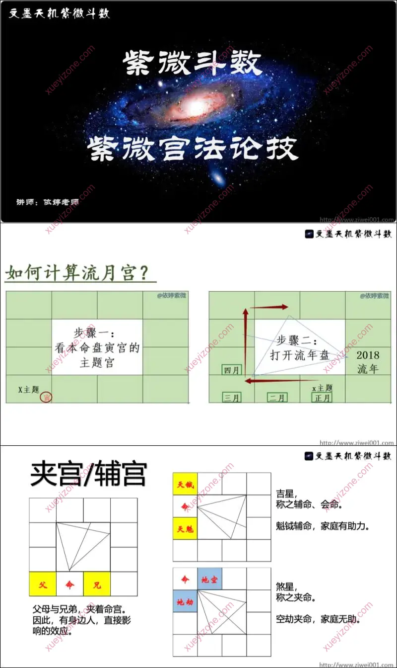 依婷2024年 宫法