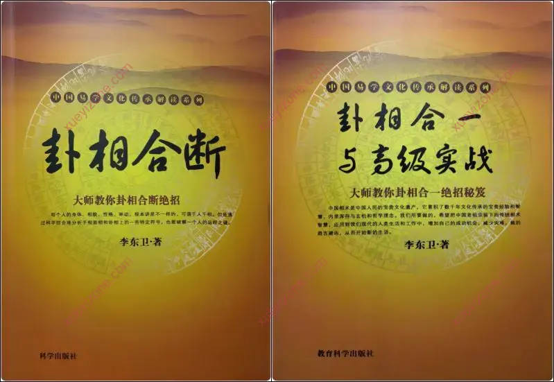 李东卫 《卦相合断》《卦相合一与高级实战》封面