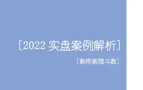 紫梧紫微斗数 2022实盘案例解析 PDF 224单页 百度网盘分享