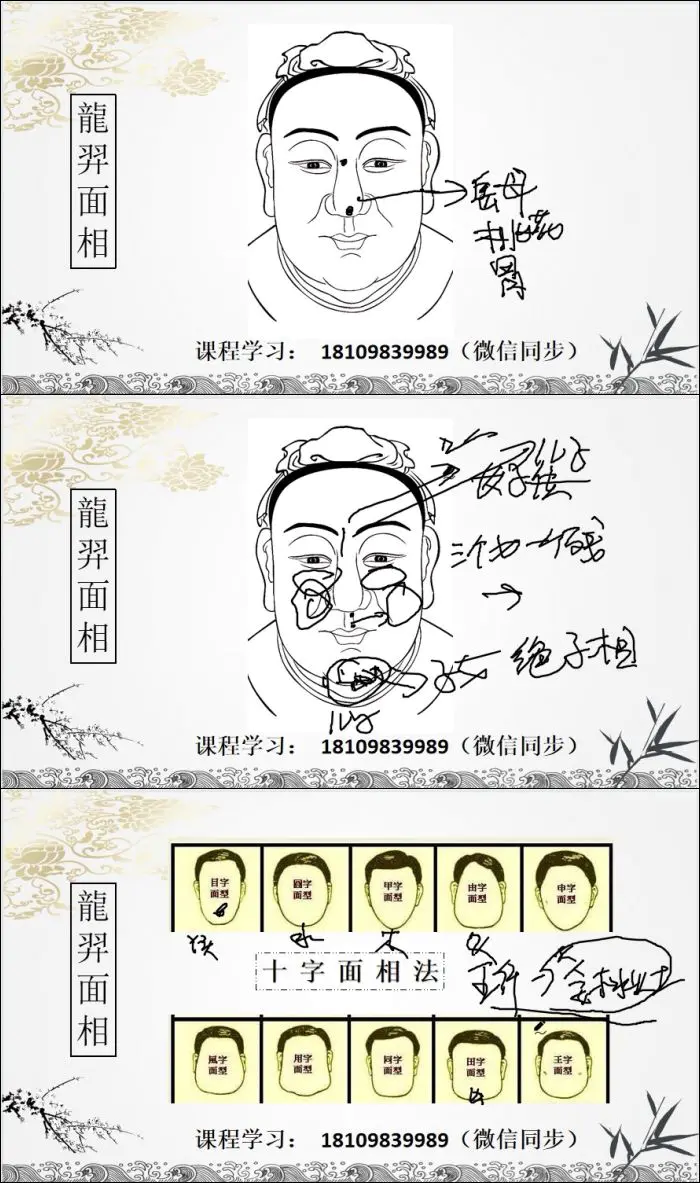 龙羿面相弟子内训 60集视频
