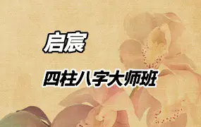 启宸 四柱八字大师班 视频32集 百度网盘分享