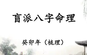 崔老师崔文举 盲派八字命理笔记 （5000元）PDF 297页
