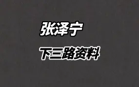 张泽宁 下三路资料 视频8集+资料 百度网盘