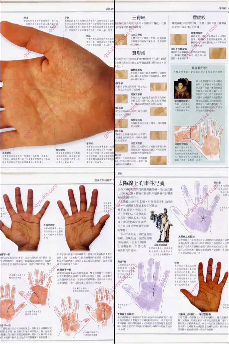 手相学习百科