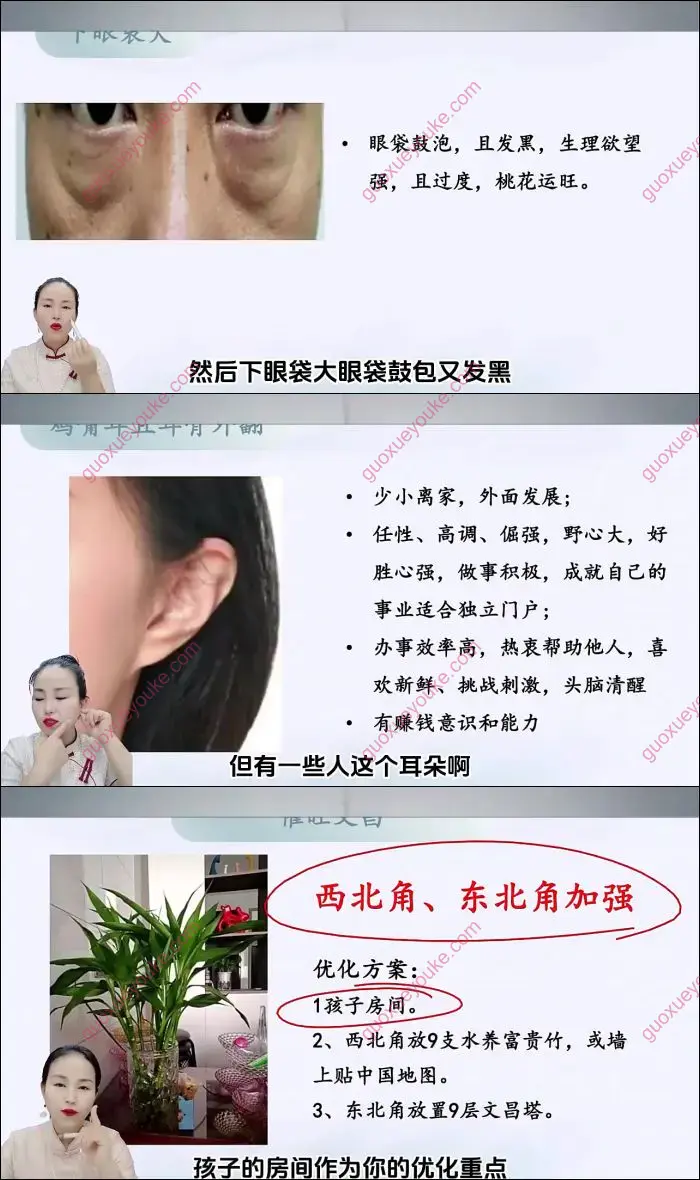 石园园易学识人课