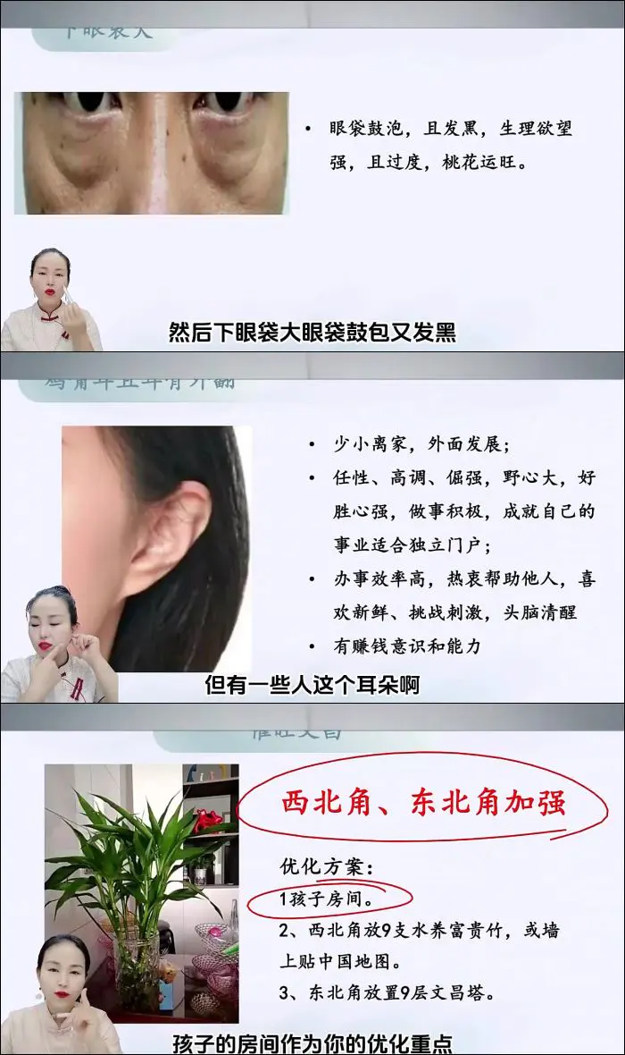 石园园易学识人课  视频42集 百度网盘分享