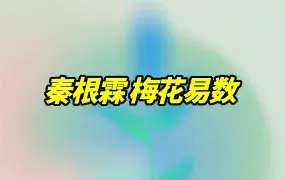 秦根霖梅花易数 视频33集 百度网盘分享