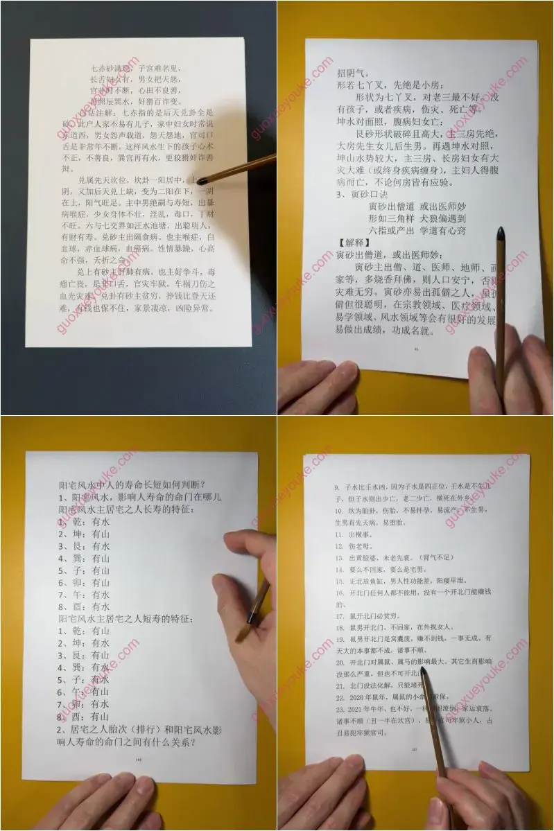 竹林老师金锁玉关