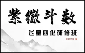般若丞宴 紫微斗数飞星四化研修班 视频13集+录音1集