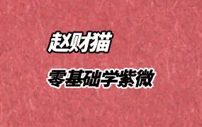 赵财猫老师 零基础学紫微 一听就懂的干货50讲 视频48集