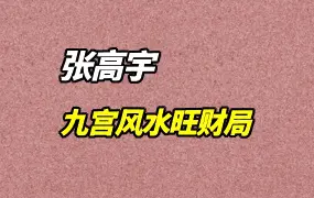 一寸堂张高宇 九宫风水旺财局 视频47集 百度网盘分享