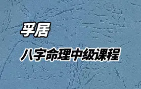孚居 八字命理中级课程 视频39集 百度网盘分享