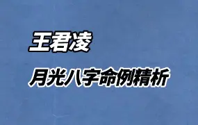 王君凌著 月光八字命例精析 200例案例 上下册 PDF 共485页