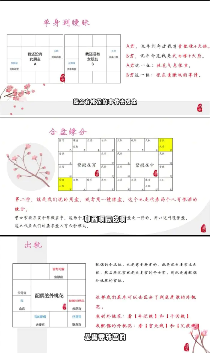 洛元老师 紫微斗数专题系列之感情专题 视频5集(带字幕)