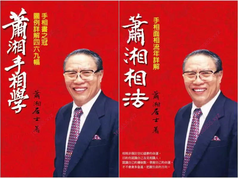萧湘居士 手相面相