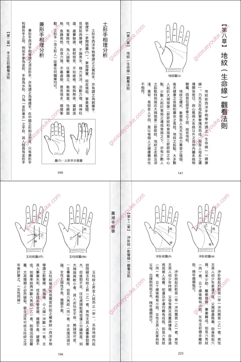 萧湘居士 手相面相