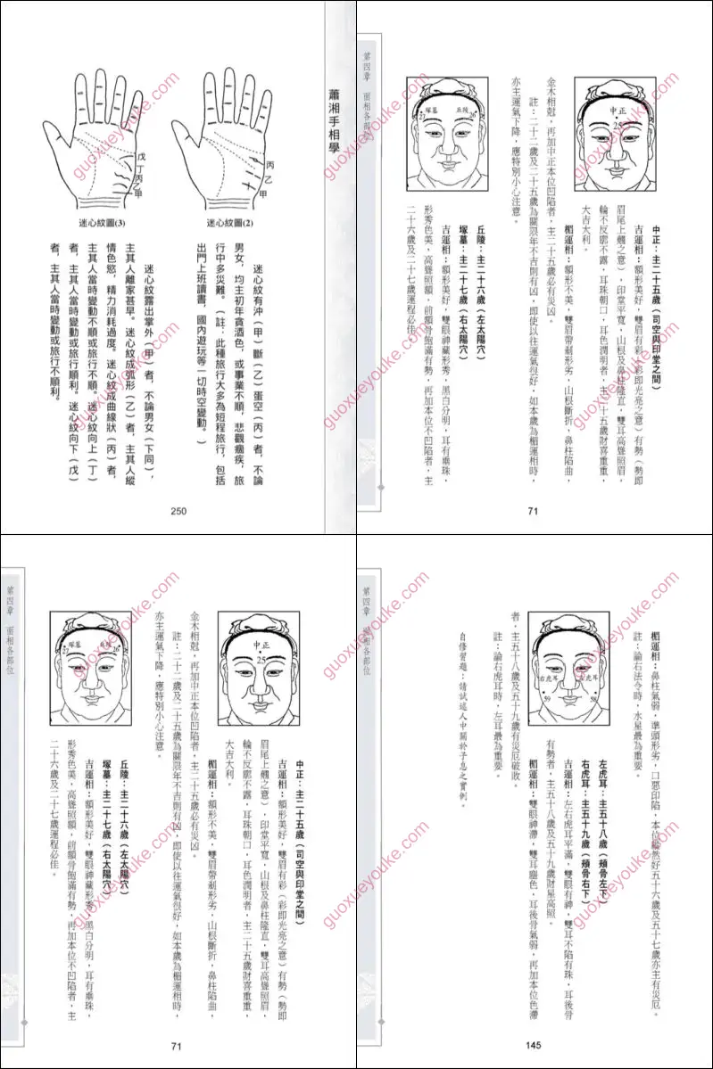 萧湘居士 手相面相