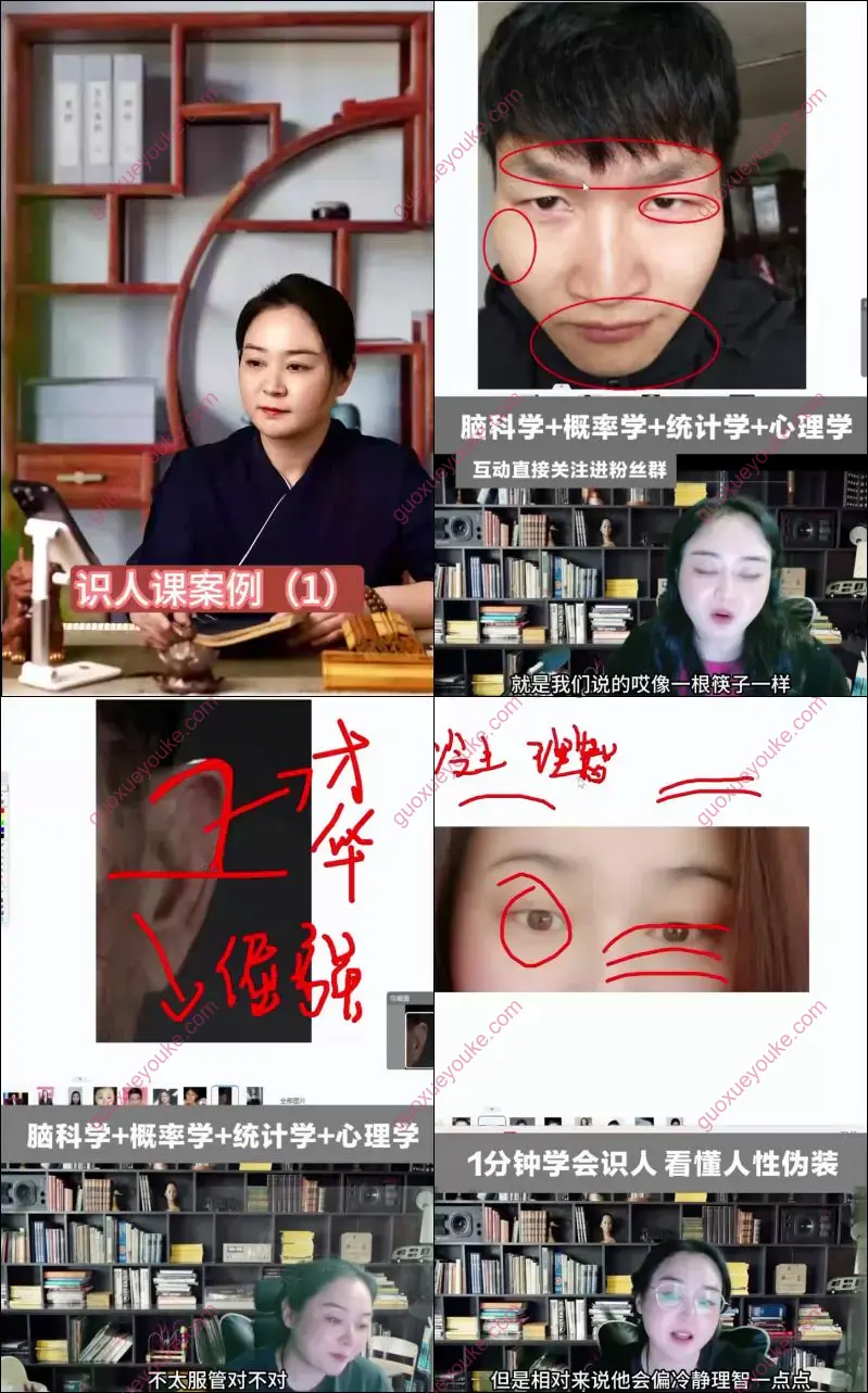 识人课案例课程