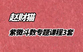 赵财猫 紫微斗数专题课程系列 3套视频课程 百度网盘分享