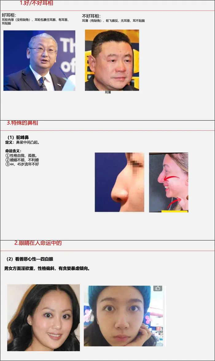 面相学细微对比图示 PDF 286页