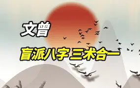 文曾盲派八字  三术合一之易道乾坤 视频39集 百度网盘分享