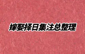 嫁娶择日集注总整理 郭聪宏 侯秋美著 PDF 519页 百度网盘分享
