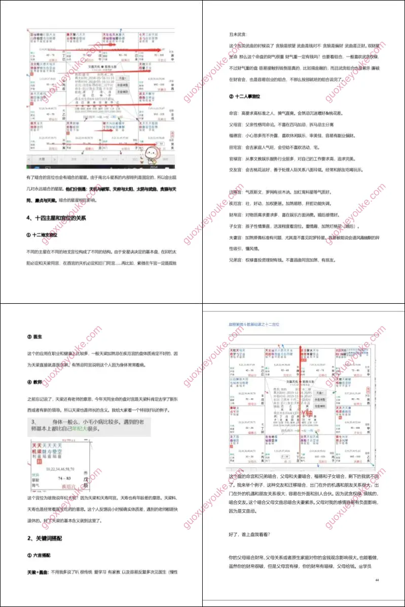 庭鲤紫微斗数基础课