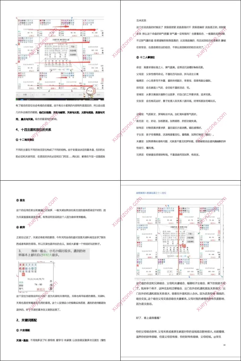 庭鲤紫微斗数基础课