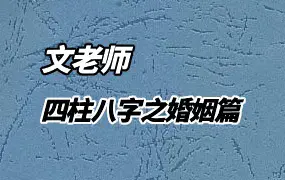 文老师 四柱八字之婚姻篇 169集 百度网盘分享