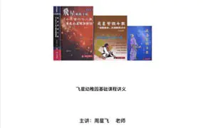 梁若瑜飞星派紫微斗数 飞星幼稚园课程讲义 周兴飞主讲 PDF 297页