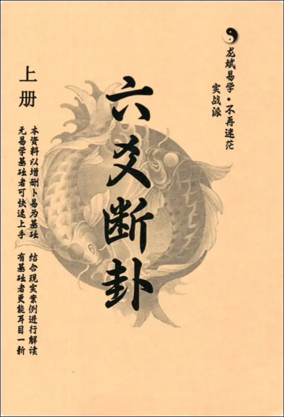 龙斌易学 实战六爻断卦 上下两册 PDF 百度网盘分享